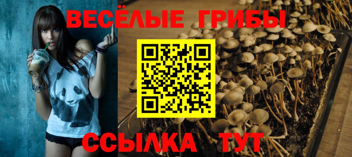 Галлюциногенные грибы мицелий  Вход с VPN  Нижний Тагил  Галлюциногенные грибы мицелий 